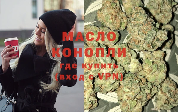 молекула духа Волоколамск