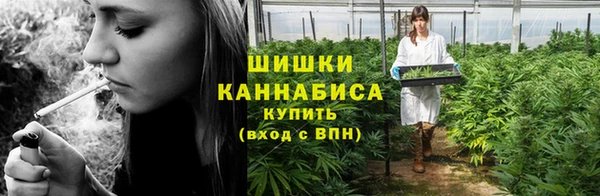тгк Володарск