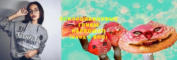 тгк Володарск
