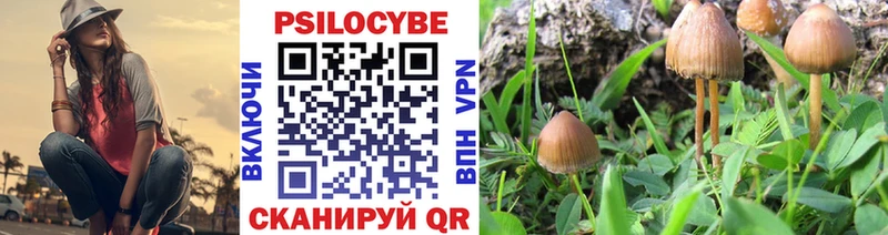 Купить закладки  Суровикино  Галлюциногенные грибы мухоморы 